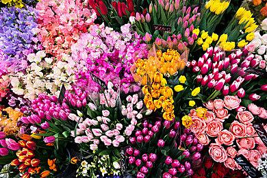 微软大裁员 B社等多个游戏工作室受到影响